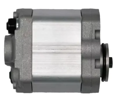 Насос шестеренчатый (чугун)  0301014 CBD-F203.3-L1BL-BA